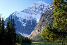 汉诺威36岁门将齐勒重返青训母队科隆的简单介绍